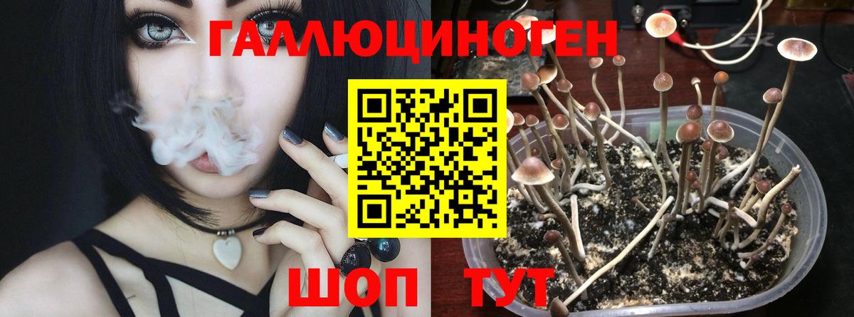 Псилоцибиновые грибы прущие грибы Славянск-на-Кубани