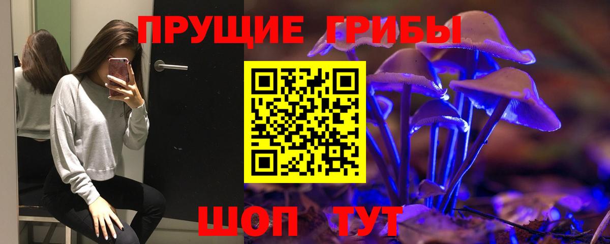 Славянск-на-Кубани  Галлюциногенные грибы Magic Shrooms  как найти наркотики  Псилоцибиновые грибы Psilocybine cubensis  Вход с VPN 